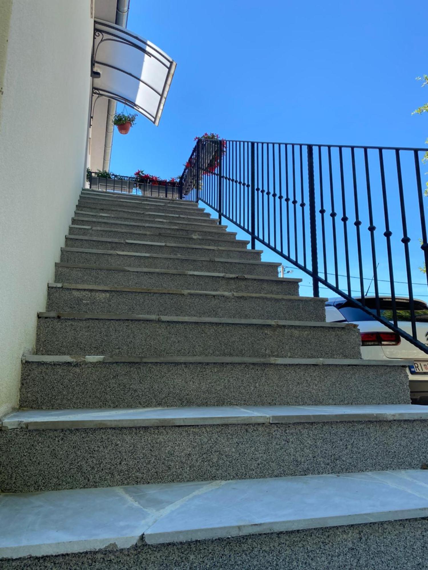 Apartmani Foresta Kras Exterior foto